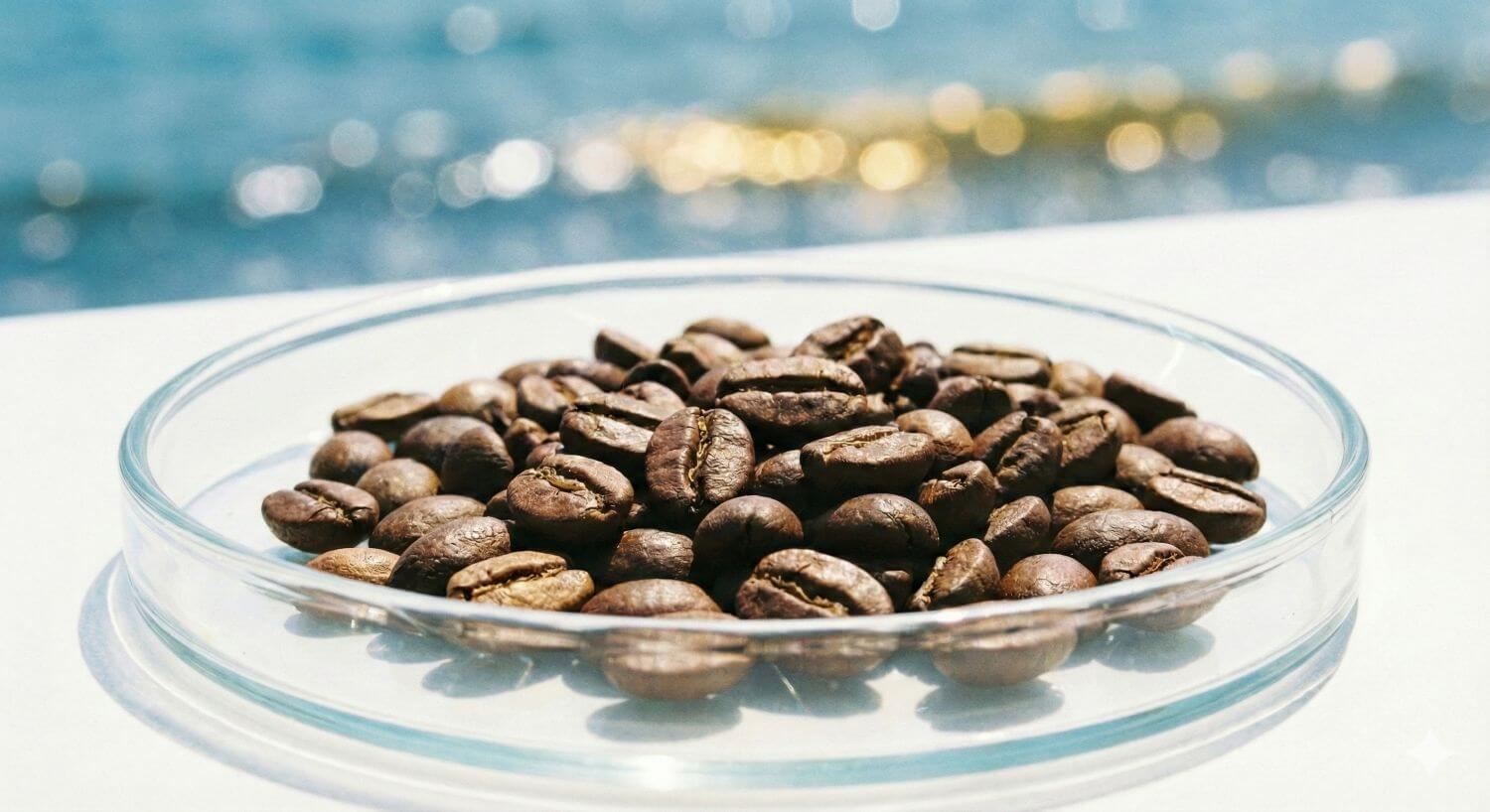 厳選されたコーヒー豆