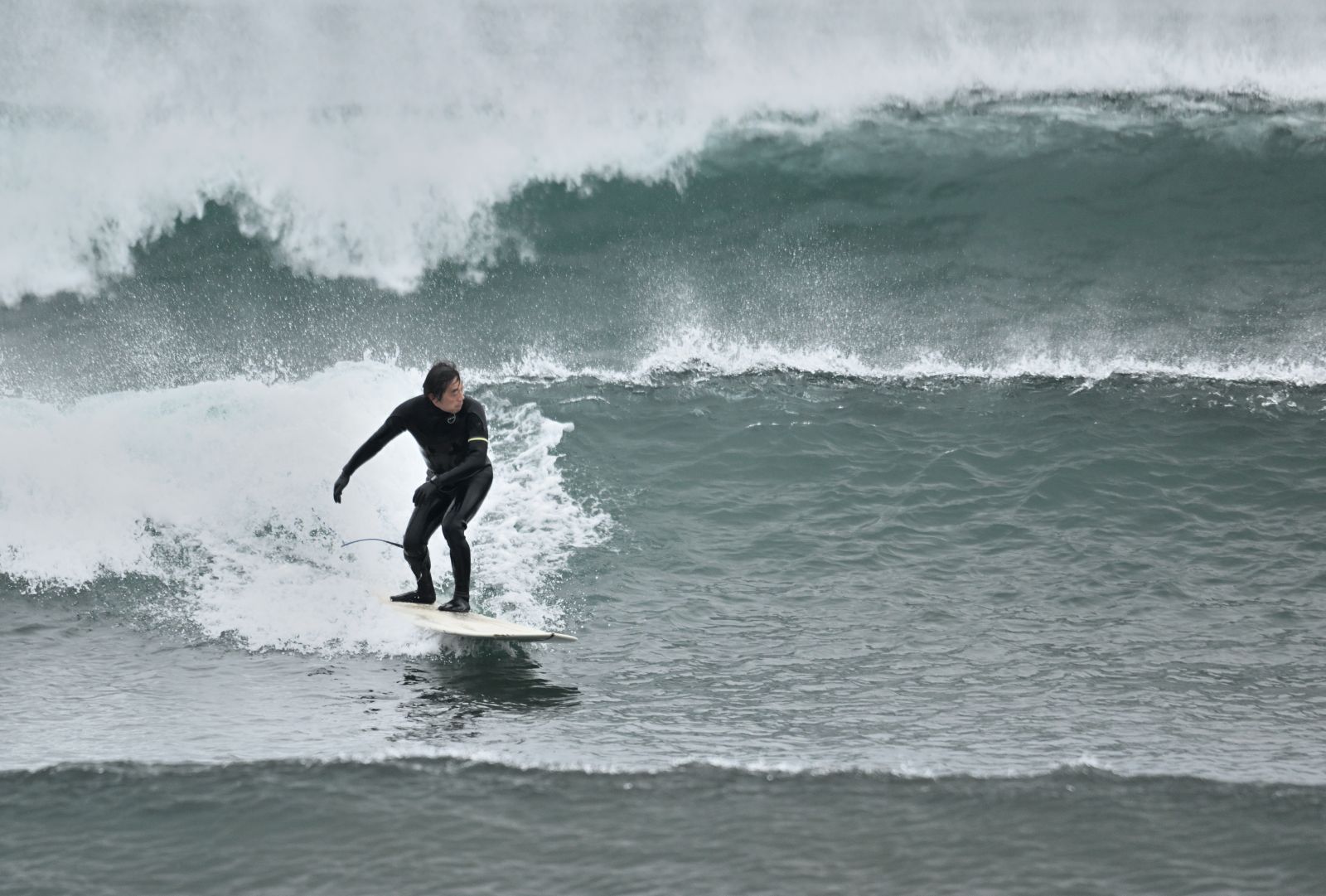 代表者：金井 昌之