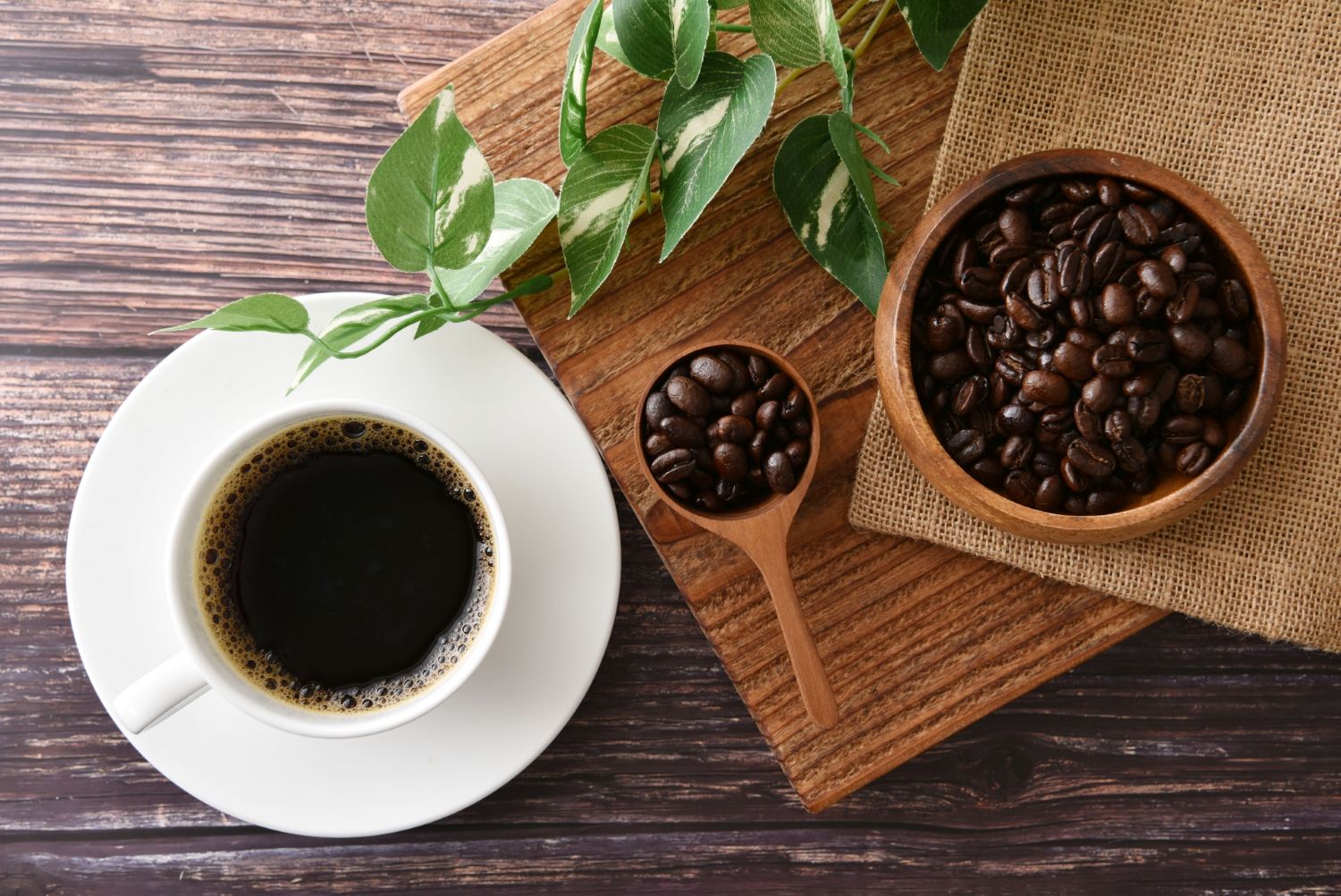 コーヒーの科学を大切にしたい理由