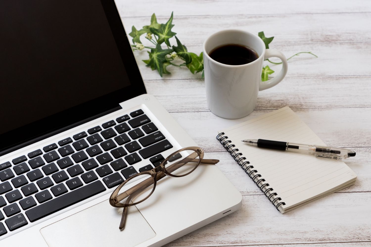 ホームページを開設しました